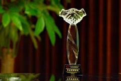 高端服務(wù)機構(gòu)-專業(yè)管理團(tuán)隊